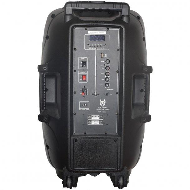 Portable Amplified 2-Way Loudspeaker W/ LEDs
