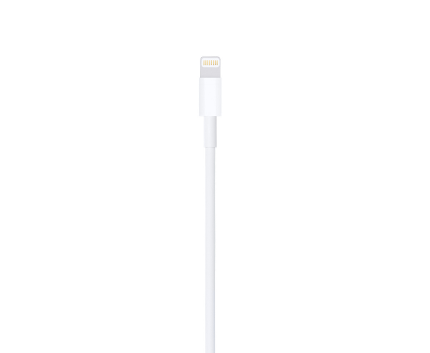 iPhone Lightning to USB Cable (1 m)