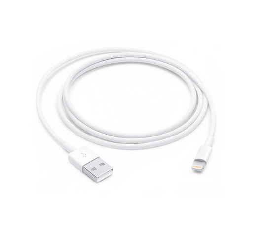 iPhone Lightning to USB Cable (1 m)