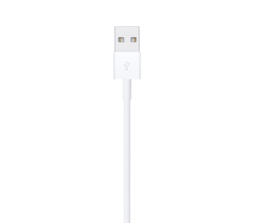 iPhone Lightning to USB Cable (1 m)